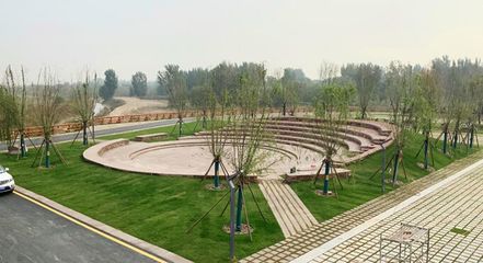 響應(yīng)國家戰(zhàn)略 弘揚黃河文化|奧雅設(shè)計簽約鄭州黃河灘濕地公園EPC項目