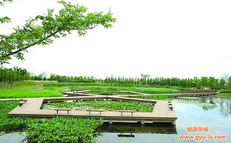 西安園林設(shè)計 陜西觀源景觀設(shè)計 西安園林設(shè)計理念