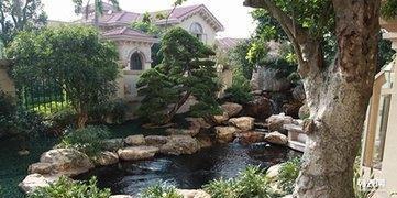 南海區(qū)鹽步工廠園林綠化養(yǎng)護(hù)別墅假山魚(yú)池綠化景觀設(shè)計(jì)